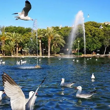 Experience Vistalegre Torrevieja